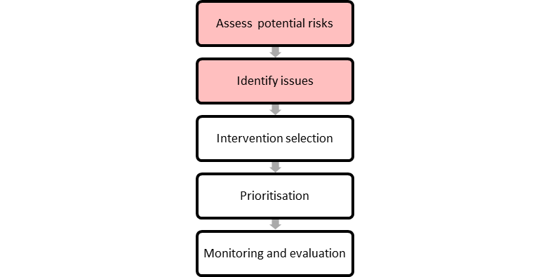 Figure 10.1 Assessing risk and identifying issues within the risk assessment process