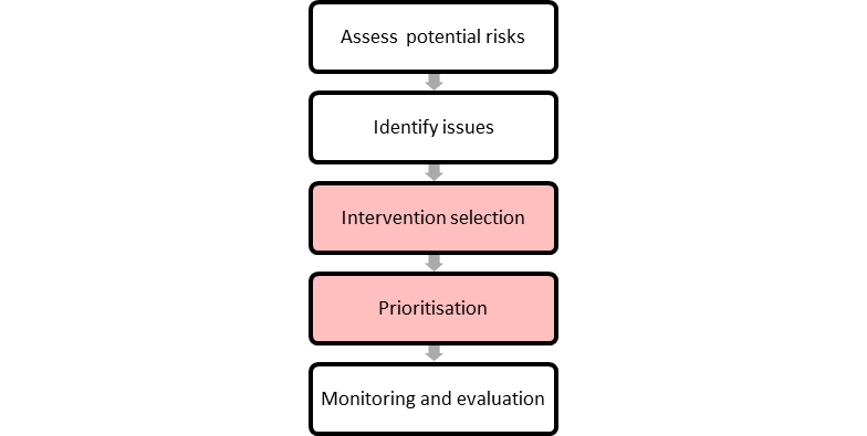 Figure 11.1 Intervention selection and prioritisation within the risk assessment process